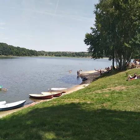 Polana * Leśna
